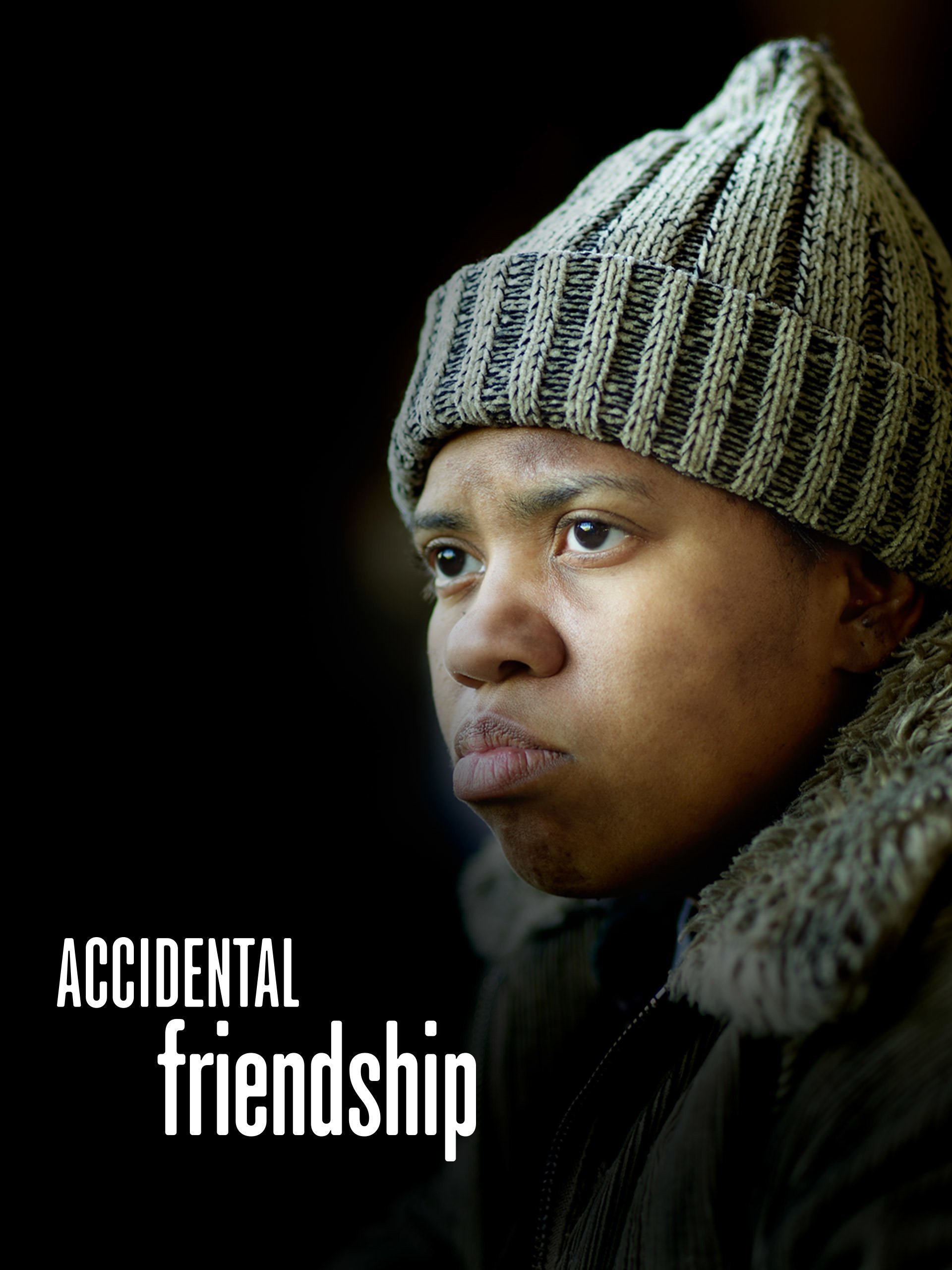 Постер Accidental Friendship